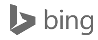 Bing logo for the web-design-seo-digital-marketing-and-web-support-services-for-businesses page