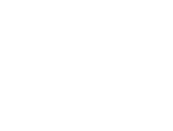 Allen’s Chimney Service | JLB web design, SEO, digital marketing and website support in Franklin, Brentwood and Nashville TN