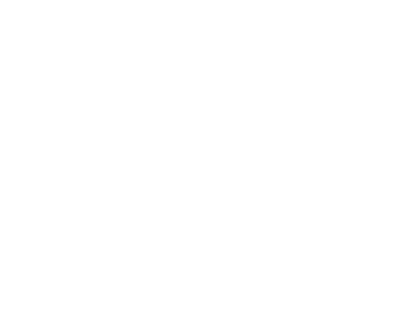 Franklin Flower | JLB web design, SEO, digital marketing and website support in Franklin, Brentwood and Nashville TN