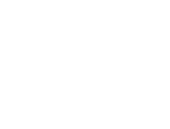 Franklin Kennels | JLB web design, SEO, digital marketing and website support in Franklin, Brentwood and Nashville TN