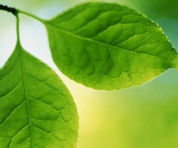 Graphic image background by JLB which is the best website design, website support and SEO Franklin, Brentwood, Nashville, TN.