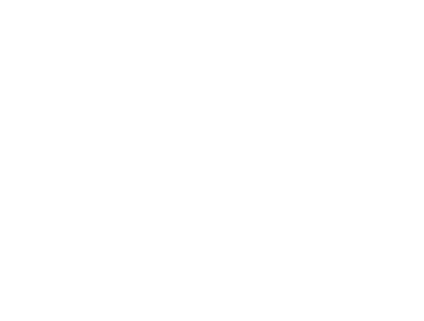 Georgia Pecan | JLB web design, SEO, digital marketing and website support in Franklin, Brentwood and Nashville TN