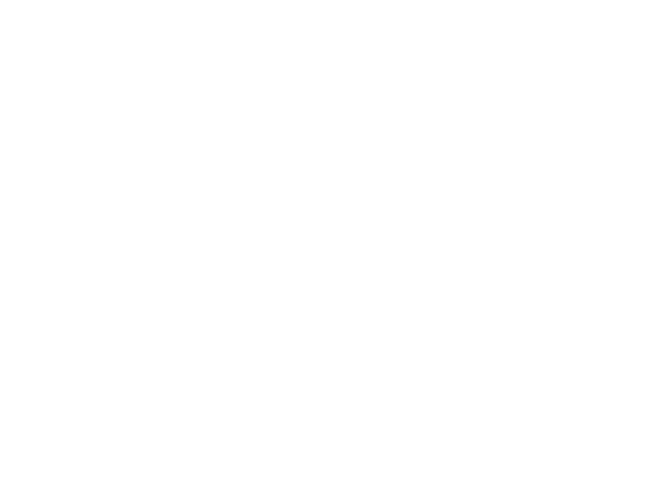 Animalia | JLB web design, SEO, digital marketing and website support in Franklin, Brentwood and Nashville TN