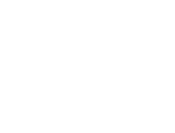 McDougal’s | JLB web design, SEO, digital marketing and website support in Franklin, Brentwood and Nashville TN