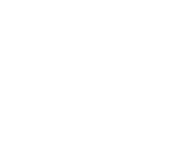 Red Dog | JLB web design, SEO, digital marketing and website support in Franklin, Brentwood and Nashville TN