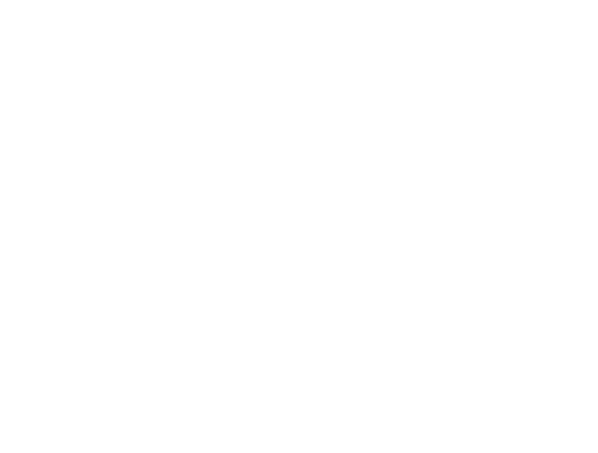Swim America | JLB web design, SEO, digital marketing and website support in Franklin, Brentwood and Nashville TN