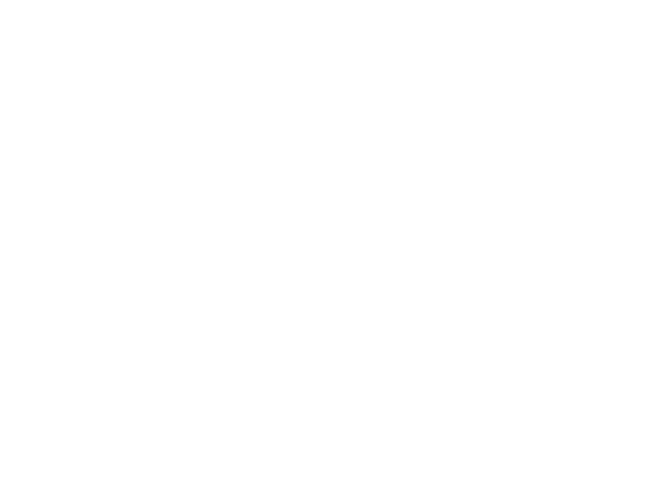 Nashville Hot Chicken | JLB web design, SEO, digital marketing and website support in Franklin, Brentwood and Nashville TN