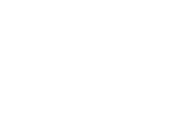 Develey | JLB web design, SEO, digital marketing and website support in Franklin, Brentwood and Nashville TN