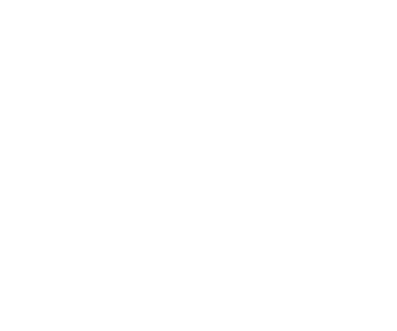 Iron Lion Entries | JLB web design, SEO, digital marketing and website support in Franklin, Brentwood and Nashville TN