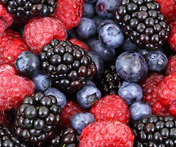 Picture of berries for the Tennessee website design of JLB, noted the best web design company in Nashville, Brentwood and Franklin TN with SEO, inbound marketing, graphic design and web support services all in-house.