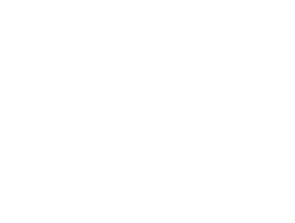 LightForce  | JLB, Nashville’s best web design – also SEO, digital marketing and website support in Nashville, Brentwood and Franklin TN