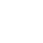 BING Search Engine