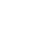 GOOGLE Search Engine